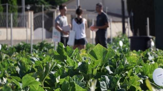 voltz-españa|Field_days_Selmar_2022_41_GV